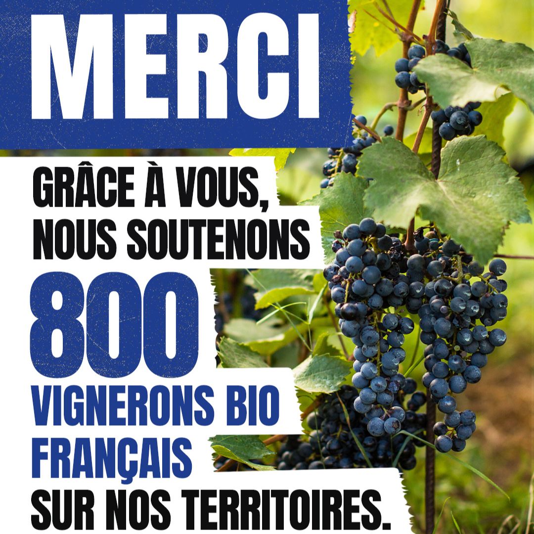 Catalogue Fête des vins 2024