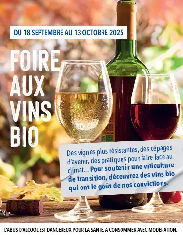 Foire aux vins bio d'automne
