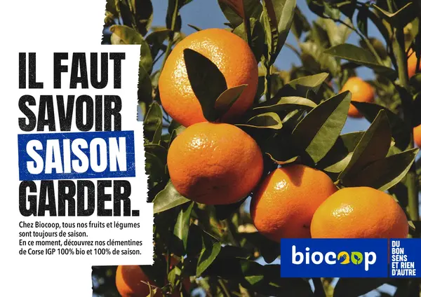 La clémentine Corse, le fruit qui a tout bon !